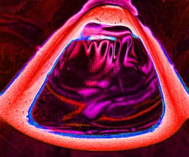 Emotion in the Apollo Space Capsule by Richard Sarginson