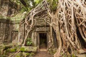 From Ankor Wat AV by Paul Mann