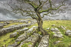 Yorkshire Dales (series) by Barrie Glover