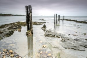 From Northumberland series by Barrie Glover