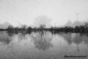 'Floodplane' by Maddy Pennock