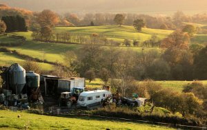 Countryside Idyll & Reality (series) by Angie Hill