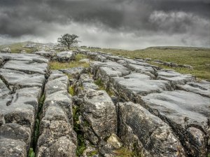 Yorkshire Dales (series) by Barrie Glover