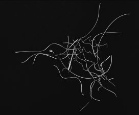 Capturing the Spirit 02 (series) by John Hoath