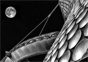 Full Moon by Sue Abbott
