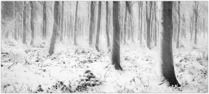 Frame from 'Metamorphosis' AV by James Boardman-Woodend